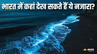 इन जगहों पर दिखता है नीली रोशनी में चमकता समंदर (Picture Courtesy: Freepik)