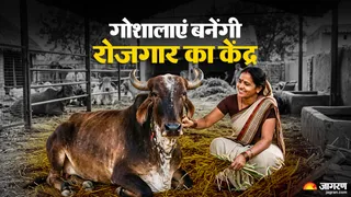 गोशालाएं बनेंगी रोजगार का बड़ा केंद्र