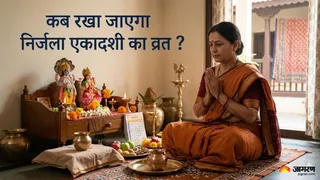जानें क्यों एक उपवास से मिलता है 24 एकादशियों का पुण्य (Picture Credit- AI Generated)