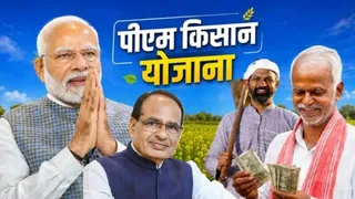 केंद्र ने चार राज्यों में दाल-तिलहन की एमएसपी खरीद को मंजूरी दी।