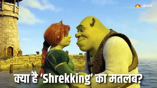 क्या आपके लिए सही है Shrekking? (Picture Courtesy: Instagram)