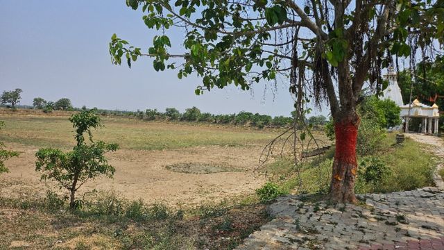 गया का ऐतिहासिक करमौनी सरोवर खुद पानी के लिए तरसा, अतिक्रमण के कारण सूखा 12 एकड़ का तालाब
