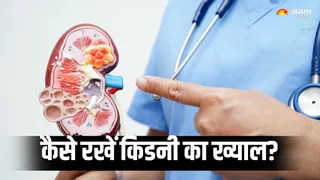 किडनी को नुकसान पहुंचाती हैं ये आदतें (Picture Courtesy: Freepik)