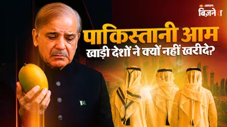 पाकिस्तान में आम निर्यात संकट: खाड़ी देशों की मांग घटी, स्थानीय बाजार में दाम गिरे। (AI फोटो)