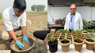 रूटोनिक तकनीक से फसल रहेगी स्वस्थ।