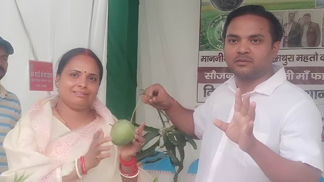 मत छुओ ये मियाजाकी है; कीमत ₹3 लाख, धनबाद में जापान के दुर्लभ आम को देखने जुटी भीड़