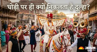 शादी में घोड़ी की परंपरा का क्या है सच? (Picture Credit- AI Generated)