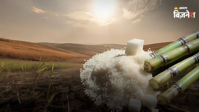 https://www.jagranimages.com/images/2026/06/22/article/image/sugar-1782112792301.jpg