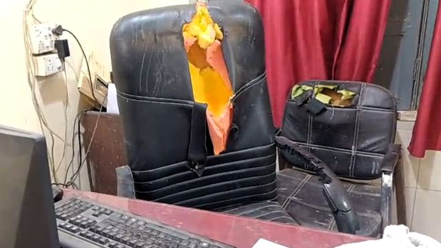 कुत्ते ने रातभर मचाई तबाही, PWD ऑफिस सुबह खुला तो कर्मचारी हालत देख रह गए हैरान; फटी हुई मिलीं कुर्सियां
