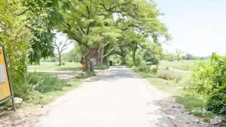 37 KM लंबी दारौंदा-रघुनाथपुर सड़क योजना अधर में, विभाग से मंजूरी की आस