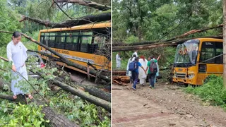 सुंदरनगर में भारी बारिश के कारण स्कूल बस पर गिरा पेड़ और गुजरते लोग व छात्र। जागरण