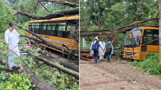 हिमाचल में दोपहर बाद भारी बारिश लाई आफत, सुंदरनगर में स्कूल बस और कार पर गिरे पेड़; बिजली के तार सड़क पर बिछे
