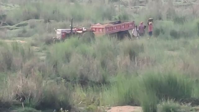 देवघर में एनजीटी के आदेशों की अनदेखी, नदियों में बेरोकटोक हो रहा अवैध बालू खनन
