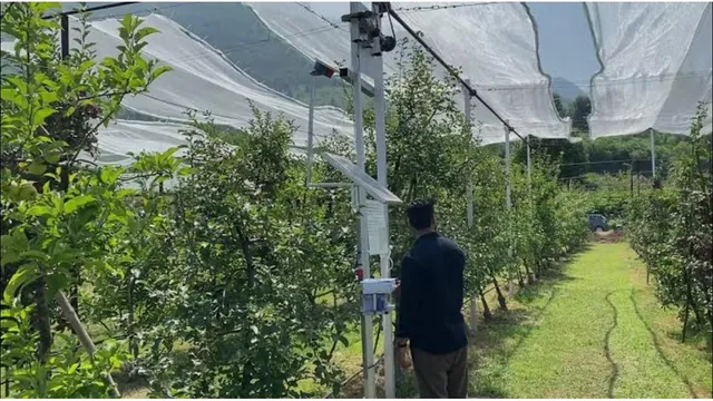 ओलों की मार से बचेंगे बाग, SKUAST-K का 125वां पेटेंट, स्मार्ट नेट ओलावृष्टि से पहले बिछा देगा जाल।
