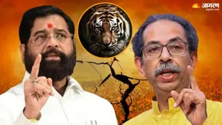 महाराष्ट्र में ऑपरेशन टाइगर जारी?