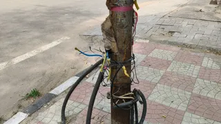 जिला सचिवालय के निकट खुले स्ट्रीट लाइट के तार। जागरण