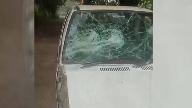 खैर लकड़ी तस्करों ने वन विभाग की टीम पर चढ़ाई कार, एक गिरफ्तार; 9 लोगों पर केस दर्ज
