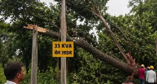 तेज हवा और बारिश से अमवा तिवारी में मेन लाइन पर गिरे पेड़ को हटाते बिजली कर्मी। जागरण