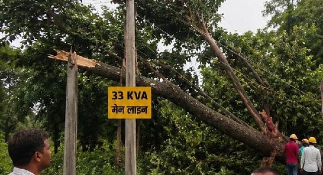 कुशीनगर में आंधी-वर्षा के दौरान पेड़ गिरने से आवागमन बाधित, डेढ़ सौ गांवों में छाया अंधेरा

