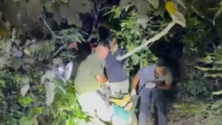 कालागढ़ टाइगर रिजर्व क्षेत्र में बाघ को ट्रेंकुलाइज करके लाते वन विभाग के कर्मचारी। सौजन्य: वन विभाग