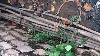 एचइसी में अवैध कनेक्शन सेक्टर टू