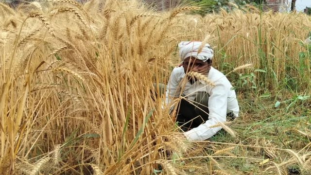 यूपी के किसानों को बड़ी राहत: अब पोर्टल पर स्वयं अपडेट कर सकेंगे अपना विवरण