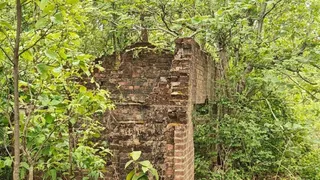 बरवाडीह–अंबिकापुर–चिरमिरी रेल लाइन का इतिहास लगभग एक सदी पुराना है। (तस्वीर: जागरण)