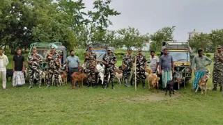 एसएसबी के जवानों ने 70 बकरियां की जब्त। (जागरण)