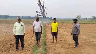 वज्रपात गिरने से खेत में खड़े पेड़ में लगी आग।