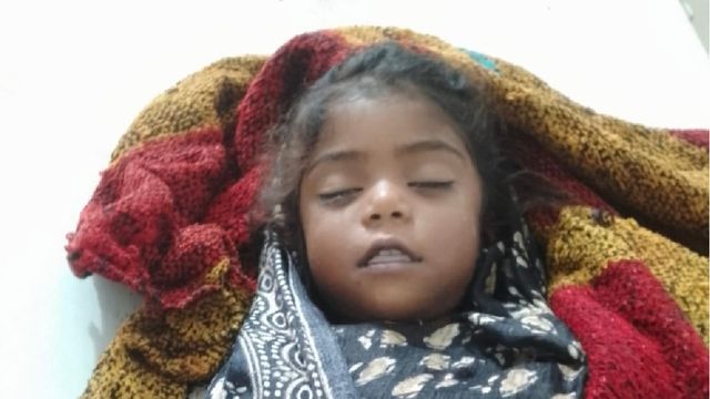 लोहरदगा में वज्रपात से 3 साल की मासूम समेत 4 मवेशियों की मौत, खेत में काम कर रहा अधेड़ गंभीर
