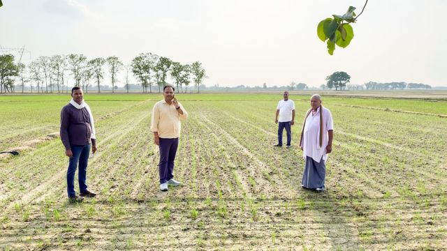 डीएसआर विधि से धाने की बोआई कर किसान बढ़ा रहे उत्पादन, कर रहे डेढ़ लाख की बचत