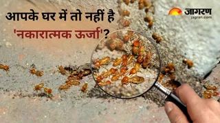आपके घर में नकारात्मक ऊर्जा है या नहीं, बताते हैं ये 3 बड़े संकेत (Picture Credit- magnific)