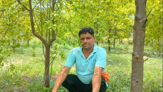 गया में पारंपरिक खेती छोड़ चंदन पर किया निवेश, धैर्य से मिलेगा लाखों का रिटर्न 
