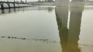 पिनाट में चंबल नदी का पानी पीलेपन पर दिख रहा है।