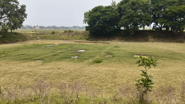 संताल परगना पर 'सुपर अलनीनो' की मार: राज्य में सबसे कम बारिश वाले जिलों में गोड्डा चौथे नंबर, 79% कम बरसे बादल
