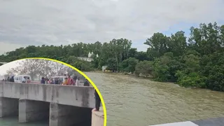 पंजाब में 3 बच्चों को नहर में फेंकने के बाद खुद भी कूदी (फाइल फोटो)