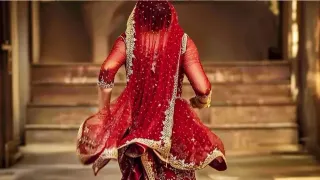 सांकेतिक तस्वीर