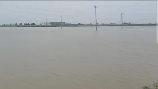 खेतों में फैला पानी।