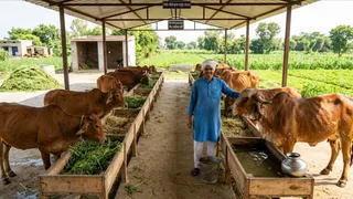प्रतीकात्मक प्रस्तुतीकरण के लिए तस्वीर को एआई टूल की मदद से बनाया गया है।