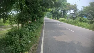 झाड़ियों में छिपे संकेतक और तीखे मोड़
