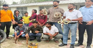 बरामद किए गए सांपों को दिखाते वन्यजीव रक्षक साहिल शर्मा व उनकी टीम के सदस्य। स्वयं