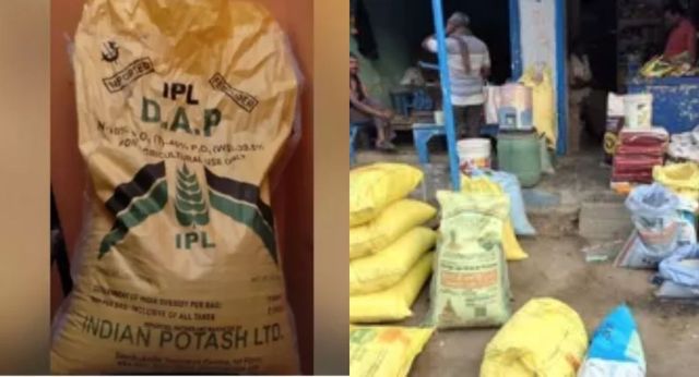 कैथल में रोपाई के पीक सीजन में सहकारी समिति में DAP खाद की भारी किल्लत, बिना खाद रोपाई को मजबूर किसान
