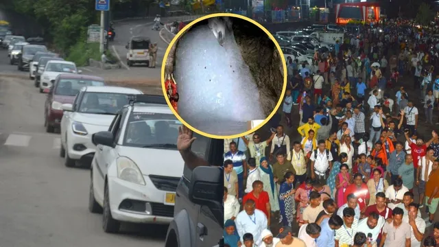 अमरनाथ यात्रा: जम्मू से 259 गाड़ियों से रवाना हुए 4822 श्रद्धालु, पहलगाम-बालटाल से करेंगे पवित्र गुफा के लिए प्रस्थान