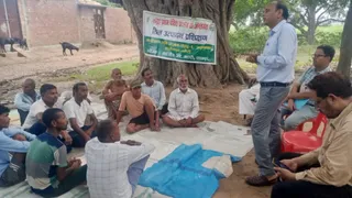 उन्नत तकनीक से बढ़ेगा तिल का उत्पादन।
