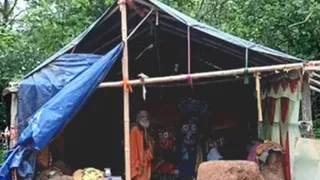 बांस के खंभों और पॉलीथिन की छत के नीचे विराज रहे हैं भगवान जगन्नाथ