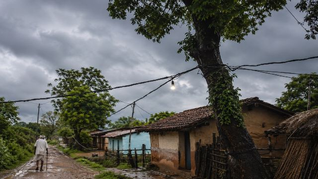 पेड़ों के सहारे हो रही बिजली आपूर्ति, हजारीबाग में चोरदाहा पंचायत में अंधेरे से जूझ रहे ग्रामीण
