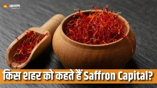 कहां मिलता है भारत का सबसे प्रीमियम केसर? (Picture Courtesy: Freepik)