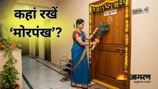 मोरपंख के चमत्कारी लाभ (Picture Credit- AI Generated)