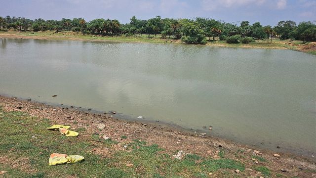 आठ गांवों की 'जल जीवनरेखा' बना बौधाबांध तालाब, गयाजी में खेती; भूजल और आस्था का बना मजबूत सहारा
