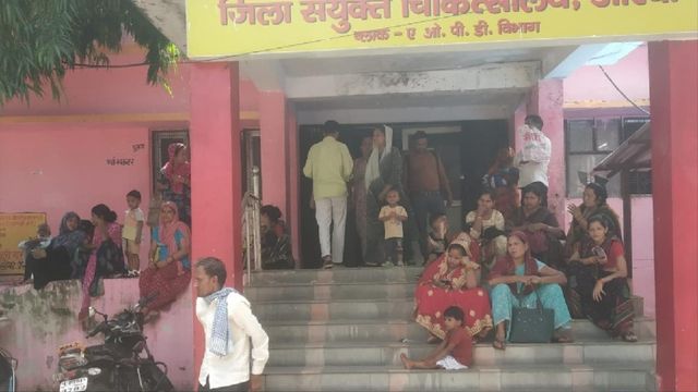 सर्पदंश होने पर तुरंत लगवाएं एंटी स्नैक वेनम, झाड़फूंक से बचें; डॉक्टरों ने दी ये सलाह
